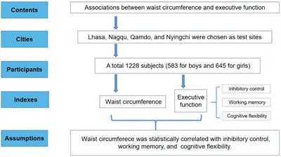 Associations between waist circumference and executive function among Chinese Tibetan adolescents living at high altitude